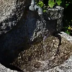 Casa De Sao Joao Castanheiras 펜션