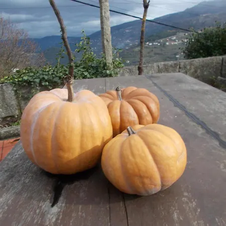 Casa De Sao Joao Castanheiras *