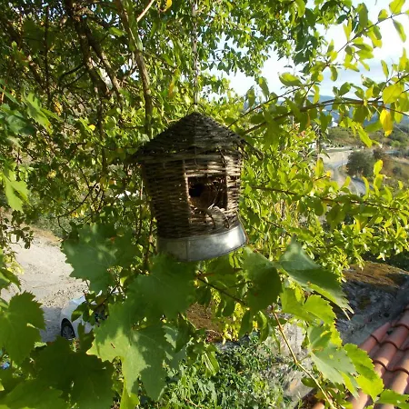 Feriehus Casa De Sao Joao Castanheiras Resende