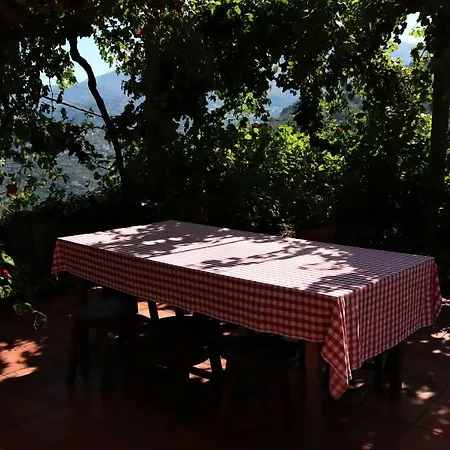 Holiday home Casa De Sao Joao Castanheiras Resende