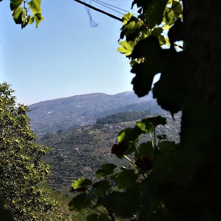 Dom wakacyjny Casa De Sao Joao Castanheiras Resende