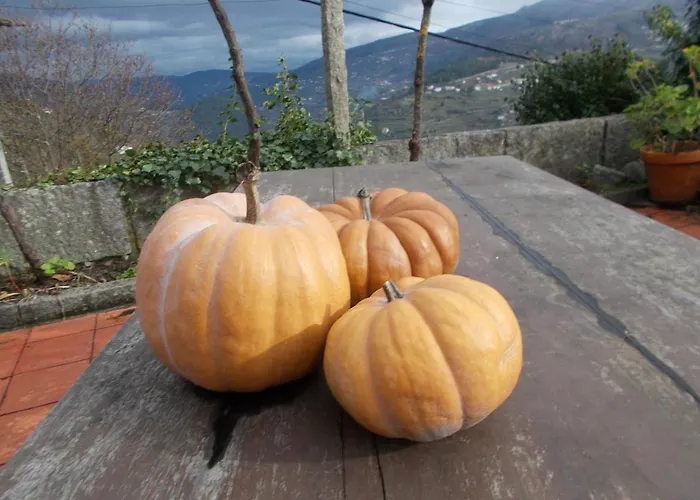 Casa De Sao Joao Castanheiras *