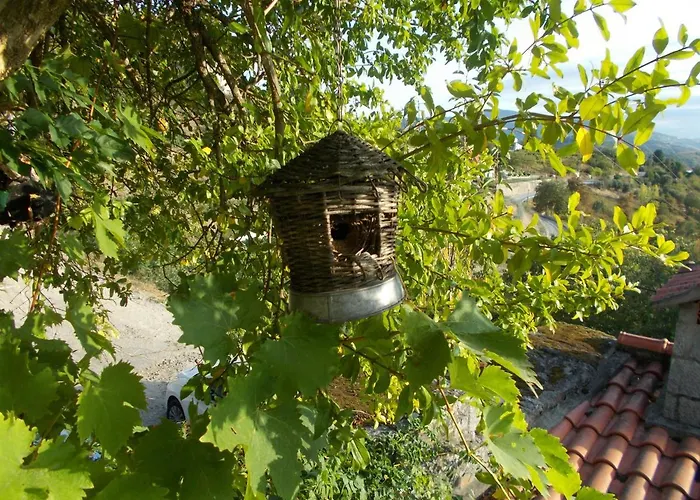 Сasa de vacaciones Casa De Sao Joao Castanheiras Resende