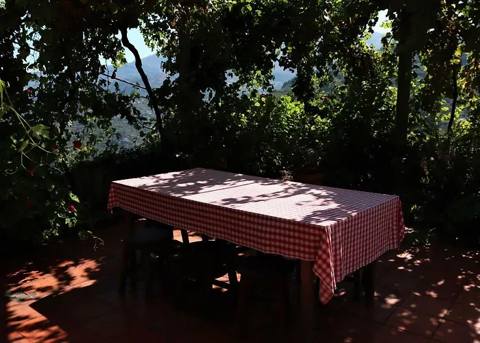 Prázdninový dům Casa De Sao Joao Castanheiras Resende