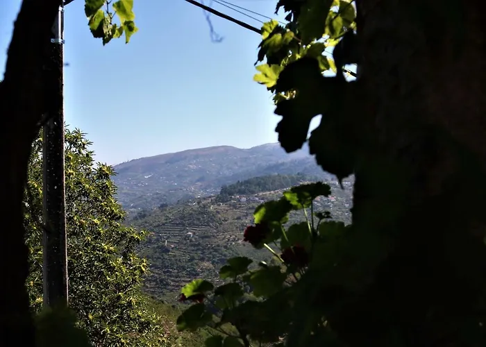 Сasa de vacaciones Casa De Sao Joao Castanheiras Resende